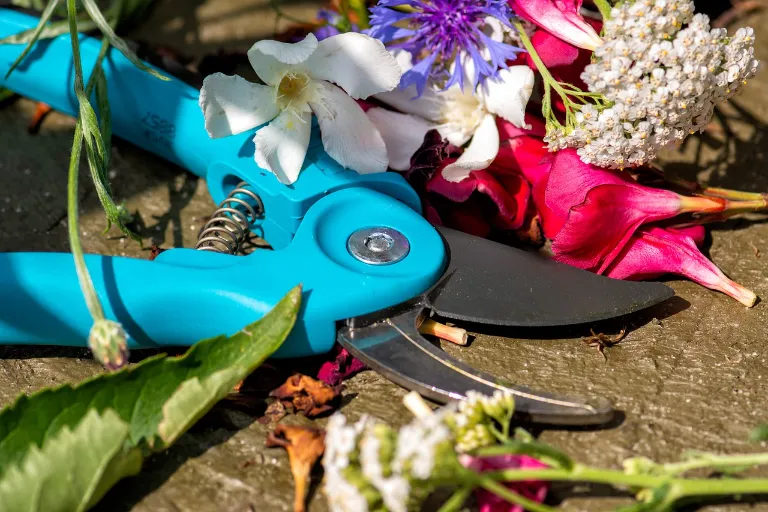 pruning shears 4329109 1280