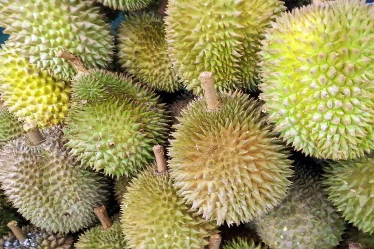 Durian - najbardziej śmierdzący owoc świata