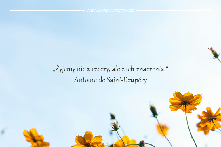 Inspirujące cytaty